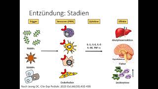 Autoinflammation Teil 1 [upl. by Yoc]