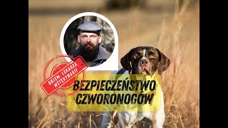 Maciej Perzyna o zdrowiu psów i kotów babeszjoza wegańska dieta i inne zagrożenia w przyrodzie [upl. by Anrahs]