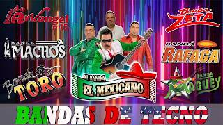 Tecno Bandas Quebraditas Exitos  El Mexicano Maguey Machos Pequeños Musical R15y Mas [upl. by Rosaline885]