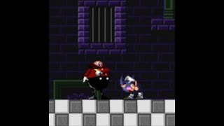 SonicVHS Game By jordangaming1019 [upl. by Mignon]