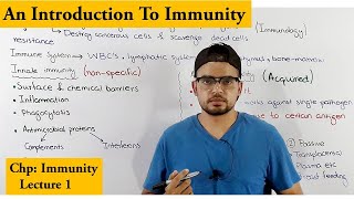 Innate vs adaptive immunity overview [upl. by Gombach]