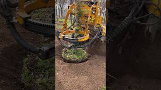 treecutting treecuttingservice didingmachine treedidingvideo treeremoval treedidingmachine [upl. by Aitnahs847]