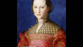 Agnolo Bronzino 15031572 [upl. by Gildus]