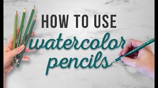 How To Use Watercolor Pencils  TIPS FOR BEGINNERS  How To For Beginners [upl. by Cherida]