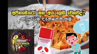 අජිනමොටෝ කන අය ලෙඩ වෙනවද  Will you get sick due to Ajinamoto Mono Sodium Glutamate MSG [upl. by Acinomed]