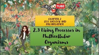 BIOLOGY KSSM FORM 4 23 LIVING PROCESSES IN MULTICELLULAR ORGANISM [upl. by Goodkin]