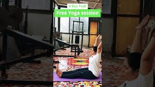 Tone Your HAMSTRINGS with Sitting Yoga [upl. by Arocal]