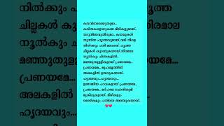 🩵kasavinal song lyrics love pranayam [upl. by Iew317]