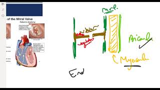 Infective Endocarditis [upl. by Aniteb268]