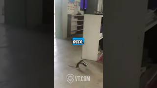 Drunk Mouse Runs Out of Beer and Loses It 🐁🍺 [upl. by Elana611]