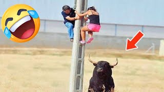 The Bull Wont Leave the Power Pole is the Only Escape Incredible Moments Caught on Camera [upl. by Adehsor]