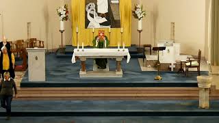 Mass for 19th Sunday at 8 am [upl. by Lerad]