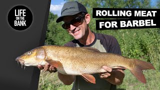 BARBEL FISHING ROLLING MEAT [upl. by Notnad270]