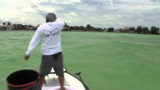 Fly Fishing for Tarpon [upl. by Philina]