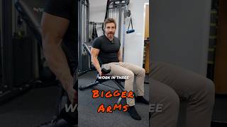 Build bigger arms with these bicep exercises biceps biggerarms bodybuilding bicepworkout [upl. by Anig]