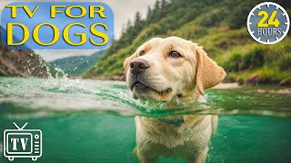 24 Hours of Soothe Dogs Anxiety DOG TV  Anti Anxiety amp Boredom Busting Videos with Music for Dogs [upl. by Airemahs]