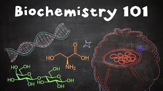 【Molelcular Biology 101】 Biochemistry And Fighting Tuberculosis [upl. by Ennirok]