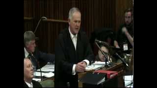 Oscar Pistorius Trial Friday 08 August 2014 Session 2 [upl. by Adrien]