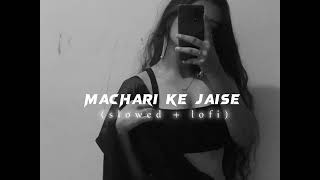 Tadpe jawani  machari ke jaise tadpe jawani  slowed  reverb [upl. by Sarge]