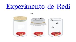 🥩 Experimento de Redi 🥩 Francesco Redi 🥩 Fácil y Rápido  BIOLOGÍA [upl. by Ibed524]