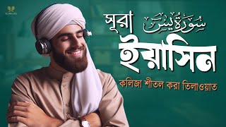 প্রতিদিন সকালের শ্রেষ্ঠ আমল সুরা ইয়াসিন  Surah Yaseen  سوره يس Recited by Alaa Aqel [upl. by Topliffe272]