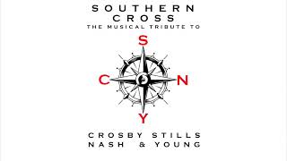 Straz Center  The Definitive Tribute to CSNY Featuring Southern Cross [upl. by Llewen]