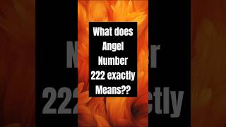 Meaning of Angel number 222  The truth about angel number 222 [upl. by Fritzsche236]