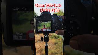 Cenon 1200 d best photographyshorts ytshorts photoshoot [upl. by Nosemyaj]