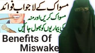 Miswak Ke Fayde  Benefits Of Miswak [upl. by Brody]