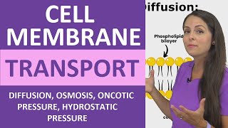 TRANSPORT ACROSS MEMBRANES Alevel Bio Simple amp facilitated diffusion osmosis amp active transport [upl. by Clementia374]