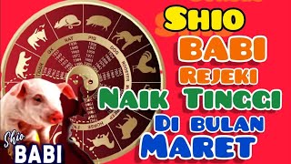 SHIO BABI di bulan MARET Rejeki naik TINGGI maret 2024 [upl. by Sherrer224]