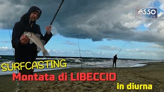 Montata veloce di Libeccio in diurnamare da Surfcasting [upl. by Valerie719]