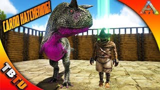 THE CARNOTAURUS HATCHENING CARNO COLOR MUTATIONS Ark Survival Evolved [upl. by Irme]