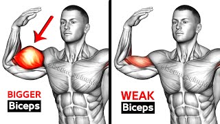 7 BEST Exercises for BIGGER BICEPS [upl. by Beesley713]