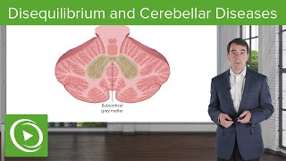 Disequilibrium and Cerebellar Diseases [upl. by Acimahs]