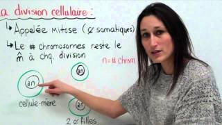 18 Sciences 9e Le cycle cellulaire [upl. by Egon]