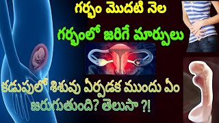 Sign amp Symptoms Of Early Pregnancy  1st Month Pregnancy Symptoms Telugu  pregnancy trending [upl. by Ahsenad]