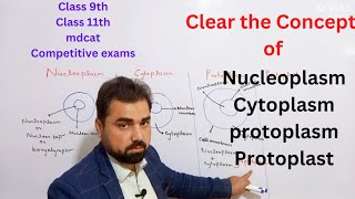 Difference between nucleoplasm  cytoplasm  protoplasm  protoplast  class 11 in urdu  hindi [upl. by Richardo]