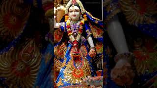 Beautiful Darshan Of Sri Sri Kunjabihari and Lalita Vishaka ❤️🙏🏻 harekrishna krishna viralvideo [upl. by Namzed]