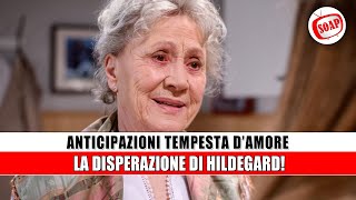 Tempesta d’Amore Anticipazioni puntate tedesche la disperazione di Hildegard [upl. by Akirdnahs]