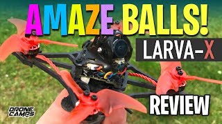 AMAZE BALLS  Happymodel LARVA X Toothpick  Review amp Flights 🏁 [upl. by Godred196]