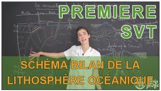 Schéma bilan de la lithosphère océanique  SVT  1ère  Les Bons Profs [upl. by Yemirej591]