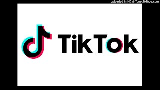 quotladies and gentlemen we got himquot FULL SONG FROM TIK TOK [upl. by Torray569]