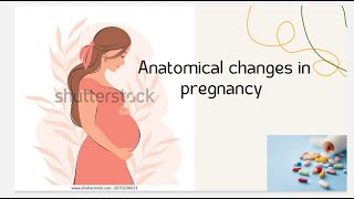 1 Anatomical changes in pregnancy [upl. by Enitsugua595]