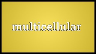 Multicellular Meaning [upl. by Einad]