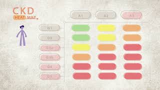 Kidney Disease Stages  CKD Heat Map  NKF [upl. by Divan611]