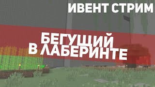 БЕГУЩИЙ В ЛАБИРИНТЕ MINECRAFT [upl. by Tratner944]