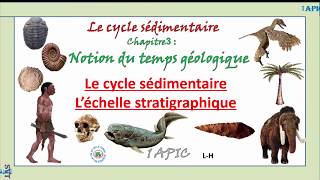 lécchelle stratigraphique  le cycle sédimentaire 1ère année APIC [upl. by Vanzant]