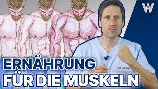 5x Ernährung für den schnellen Muskelaufbau amp Transformation Diese Nahrung geht in die Muskeln [upl. by Stambaugh327]