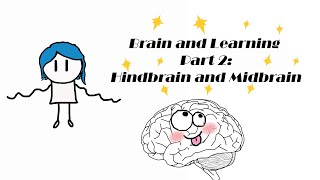 Brain and Learning Part 2 Exploring Hindbrain and Midbrain [upl. by Ahtamas304]